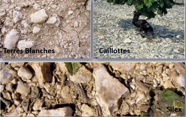 Sancerre Alte Reben 2022